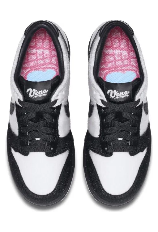 nike-dunk 747072-101