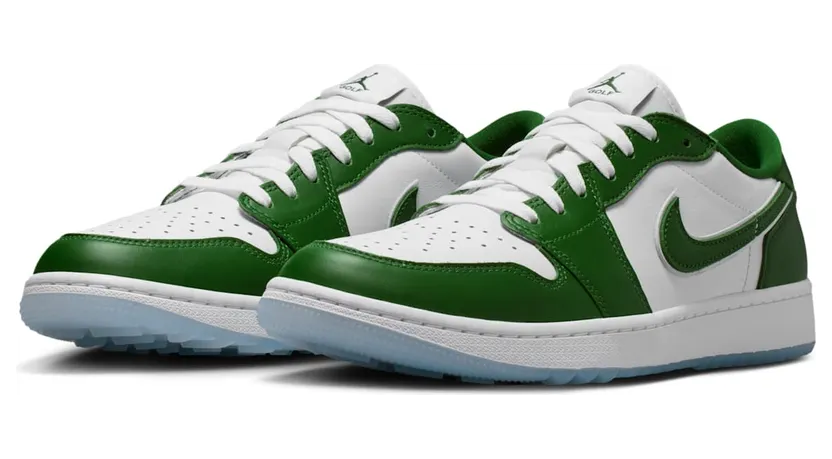 air-jordan-1 DD9315-300