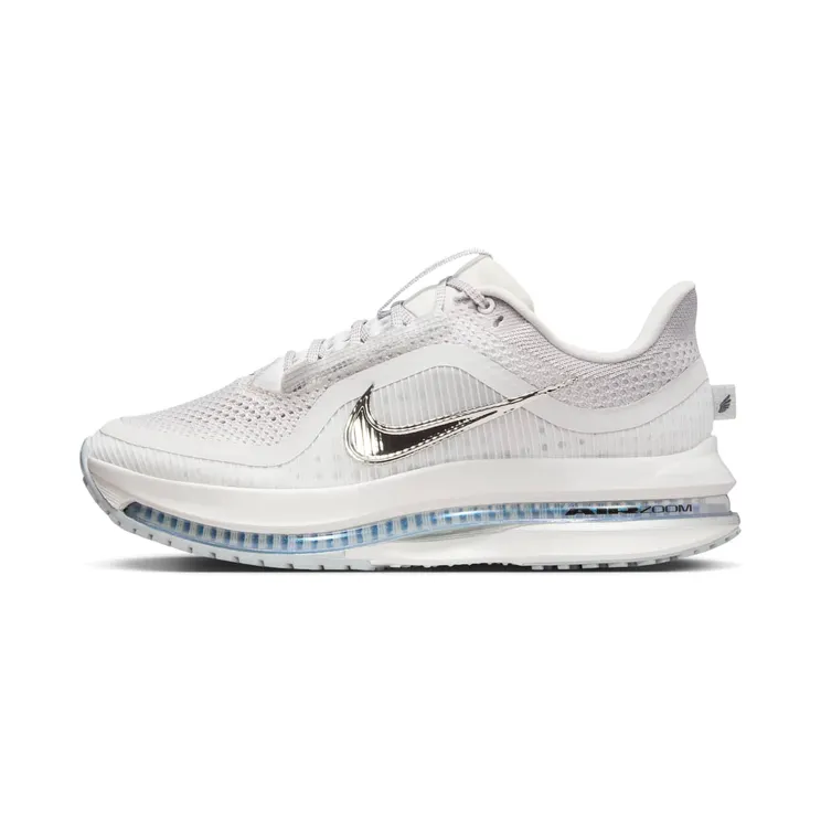 Nike Pegasus Premium “Vast Grey / Wolf Grey / Black / Metallic Silver” (HQ2593-005)