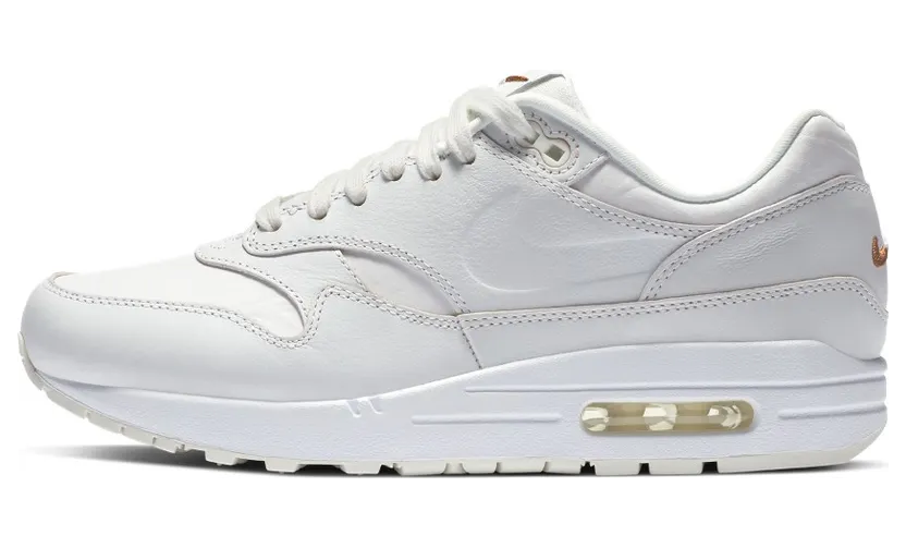 Nike Air Max 1 Summit White Sail (DC9204-100)