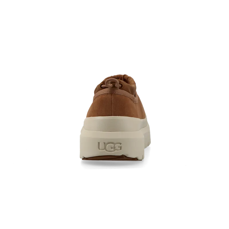 UGG M Tasman Weather Hybrid (chestnut / whitecap) – 1144096-CWTC