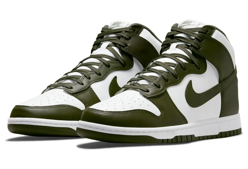 nike-dunk DD1399-107