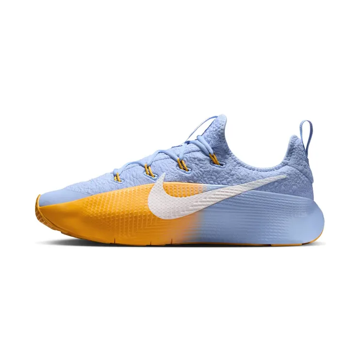 Nike LeBron TR 1 Aluminum “Aluminium / University Gold / White” (FJ6151-401)