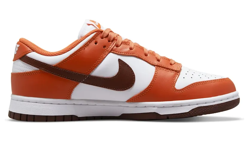 nike-dunk DQ4697-800