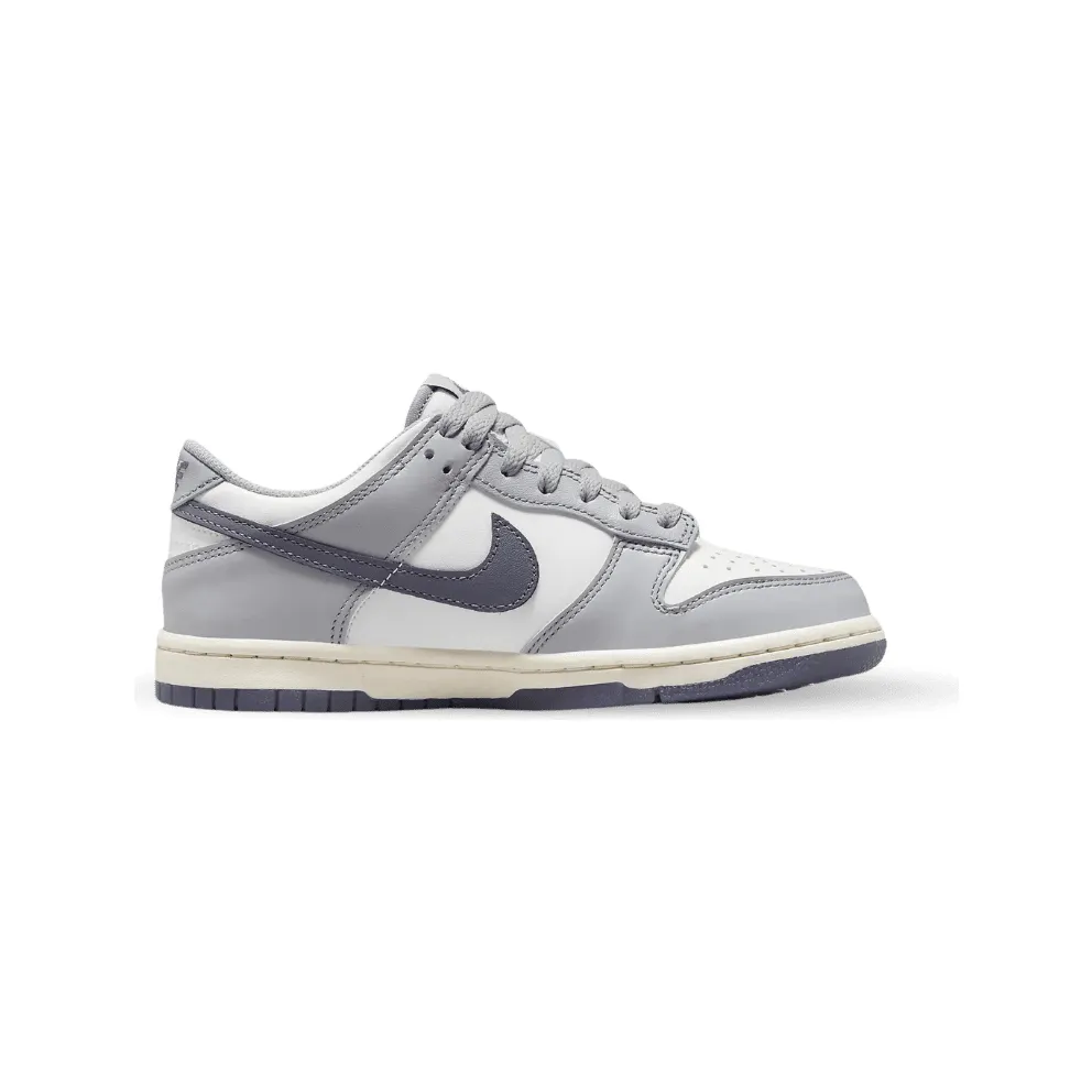 Nike Dunk Low SE Light Carbon Grey (GS) (FB9109-101)