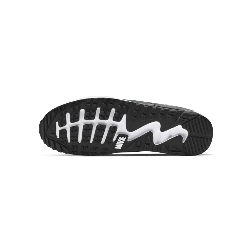Nike Air Max 90 G Smoke Grey Smoke Grey/Black/White (CU9978-001)