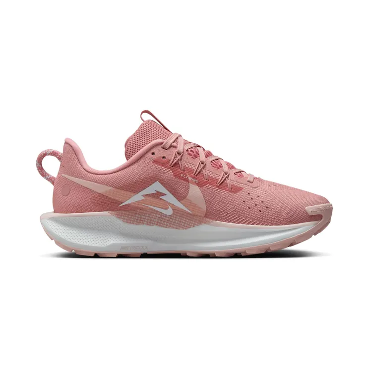 nike-air-pegasus DV3865-600