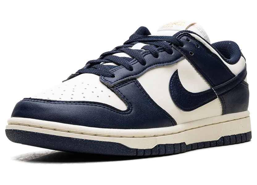 nike-dunk FZ6770-001