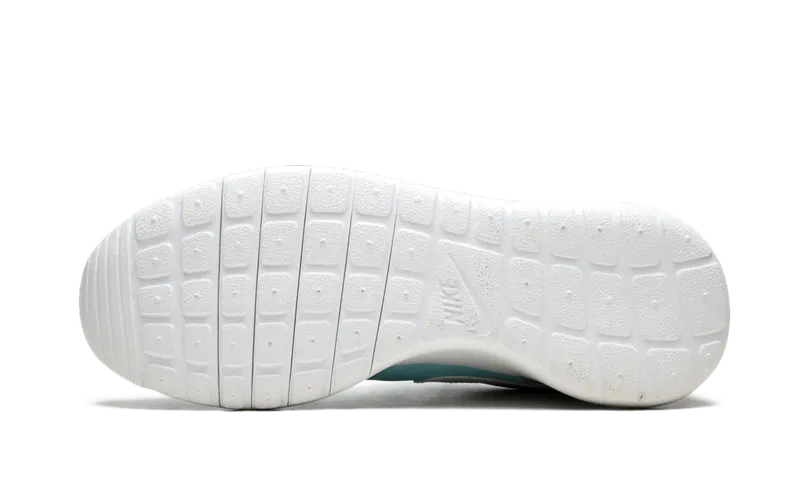 Nike Roshe Run GS “Copa/White-Blue Lagoon” (677784-401)