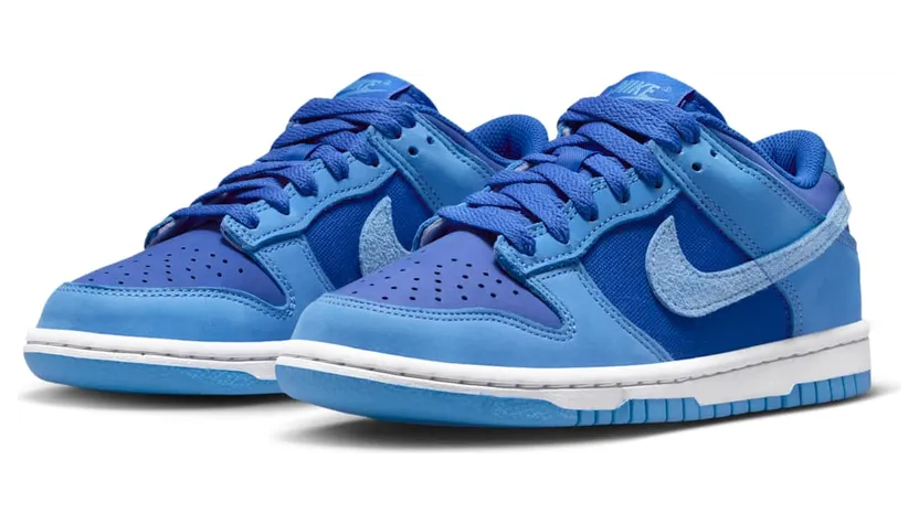 nike-dunk IB5721-400