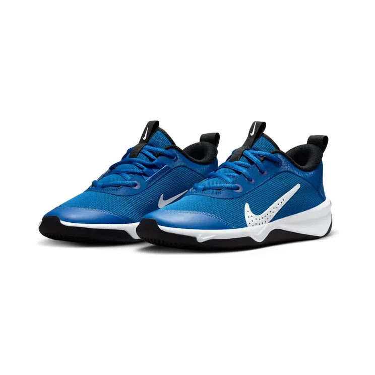 nike-omni-multi-court DM9027-403