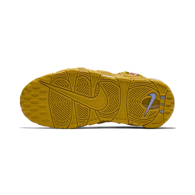 nike-air-more-money AO1749-300