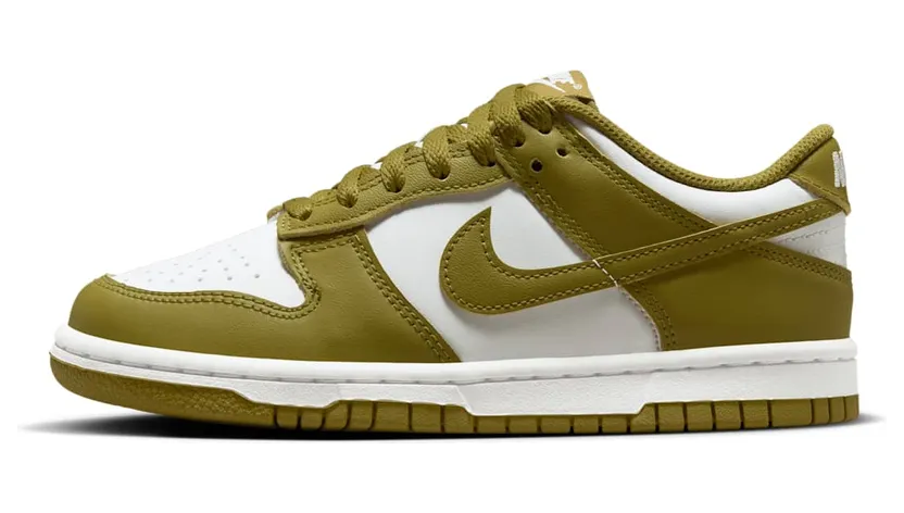 Nike Dunk Low FB9109-108