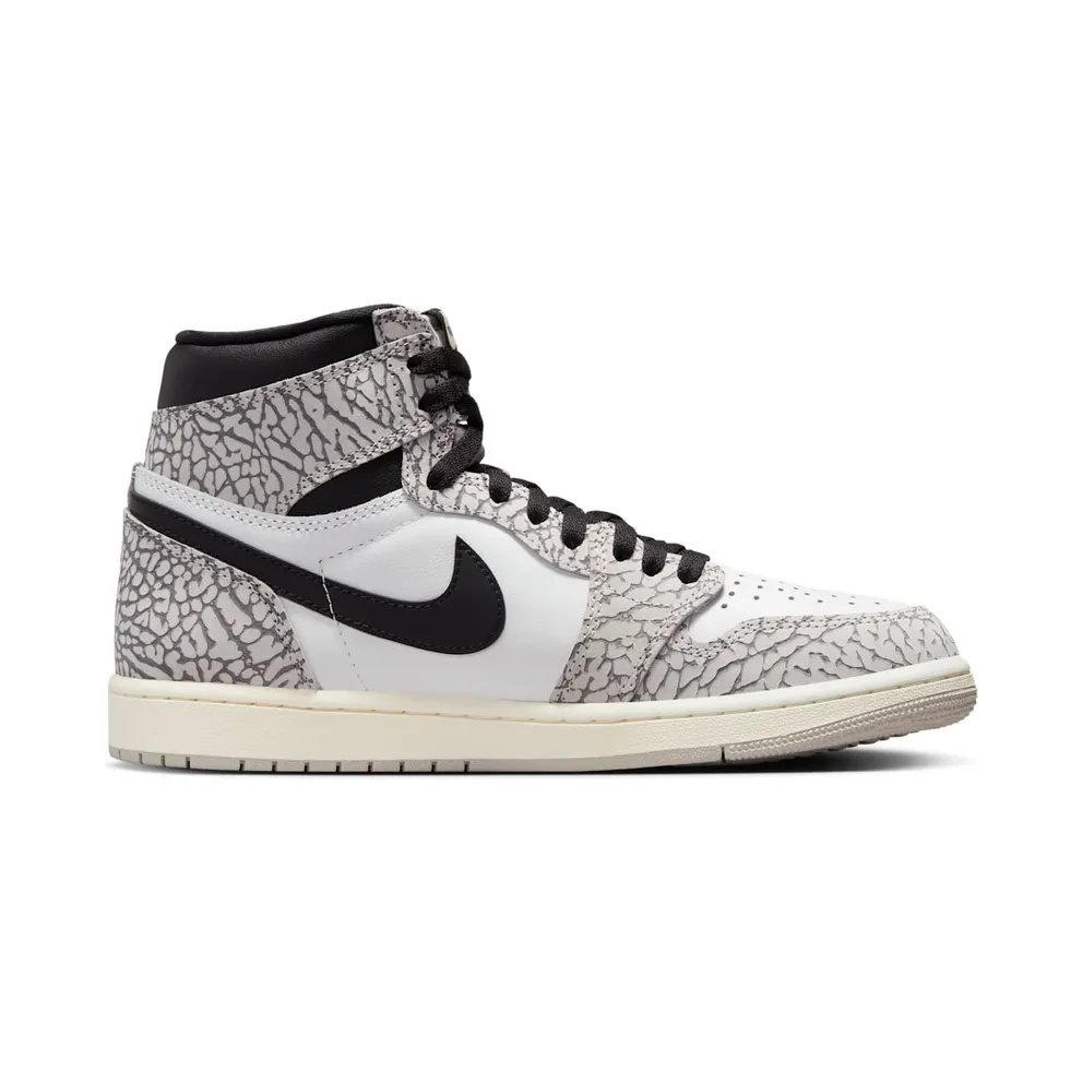 Nike Air Jordan 1 Retro High OG White Cement (DZ5485-052)