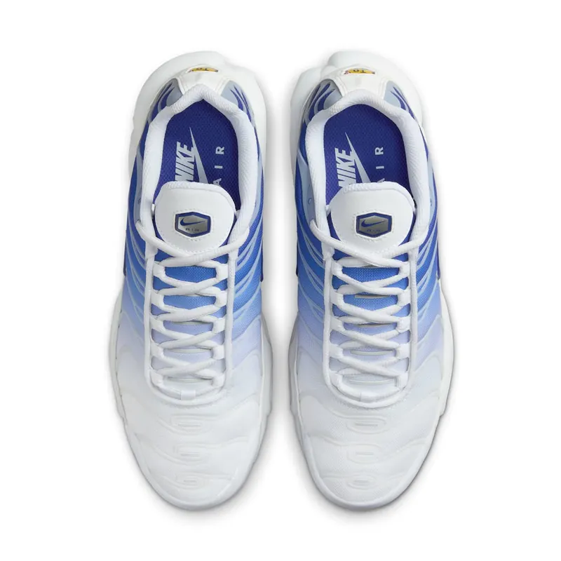 Nike Air Max Plus Blue Fade (FZ4345-100)