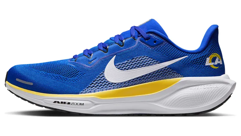 Nike Air Zoom IB3199-400