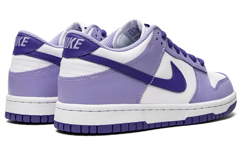 nike-dunk DZ4456-100