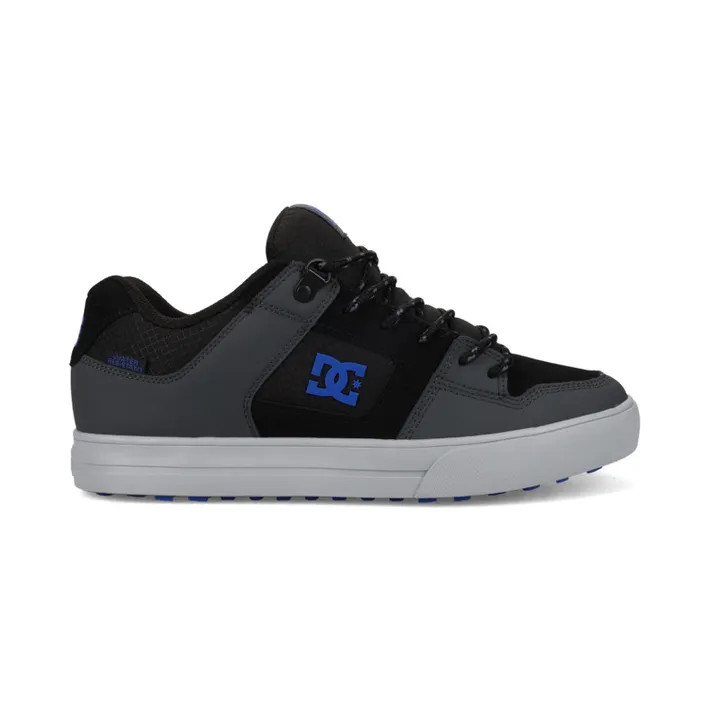 DC Pure Wnt (ADYS300151021)