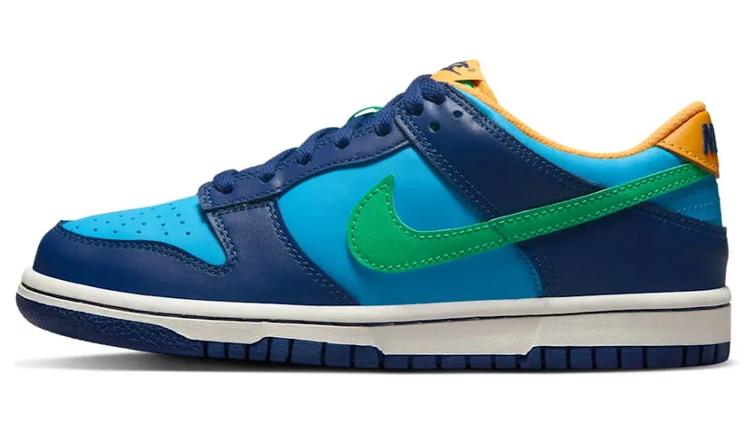 Nike Dunk Low DV1693-401