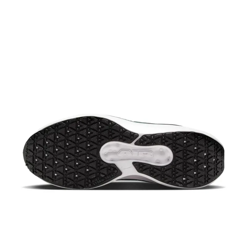 Nike Winflo 11 Grey (FQ1359-004)