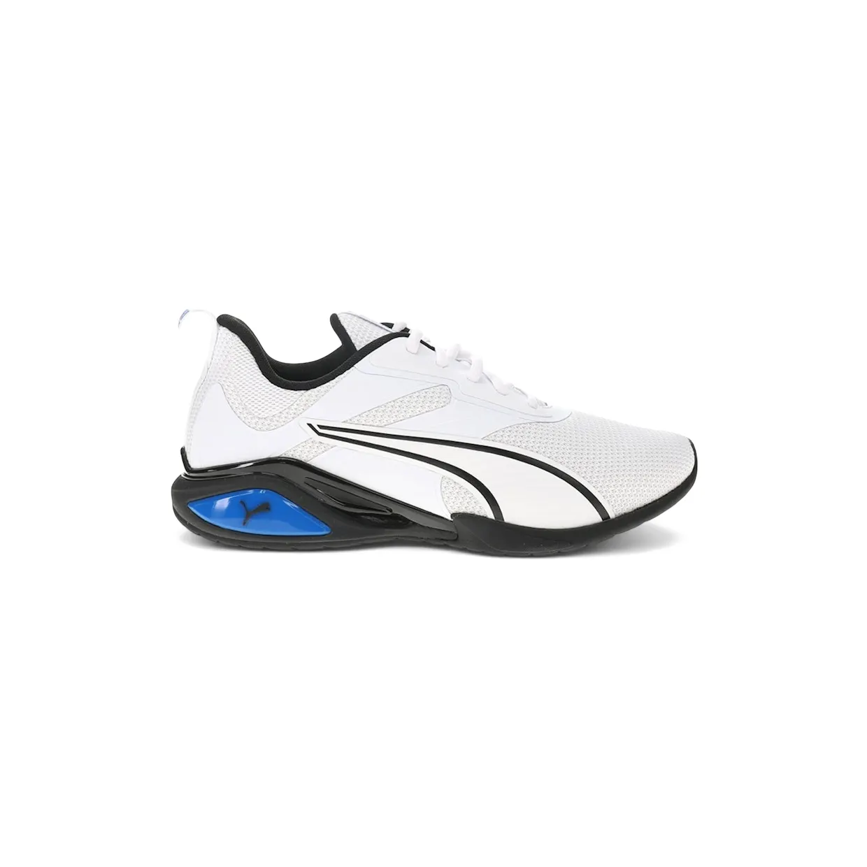 puma-sneaker 310169-05