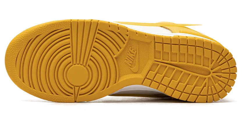 nike-dunk DZ2794-100