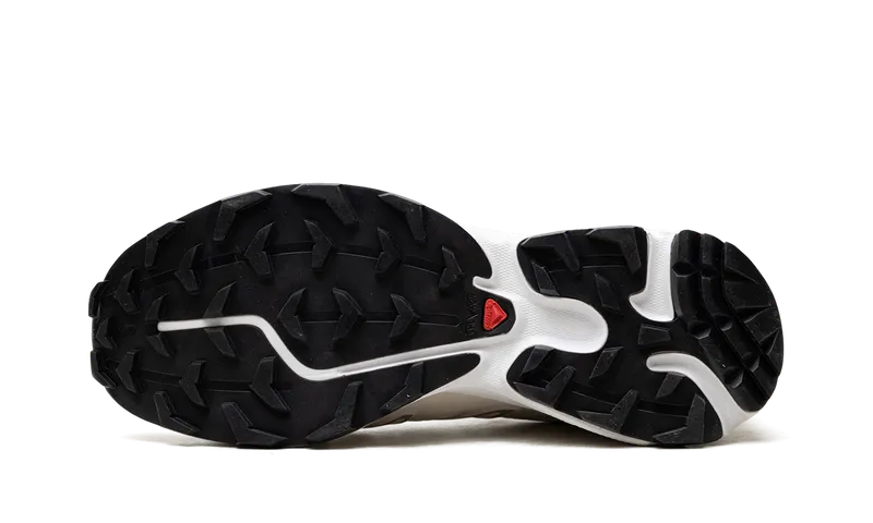 Salomon XT-6 Expanse “White Rainy Day” (L47724-200)