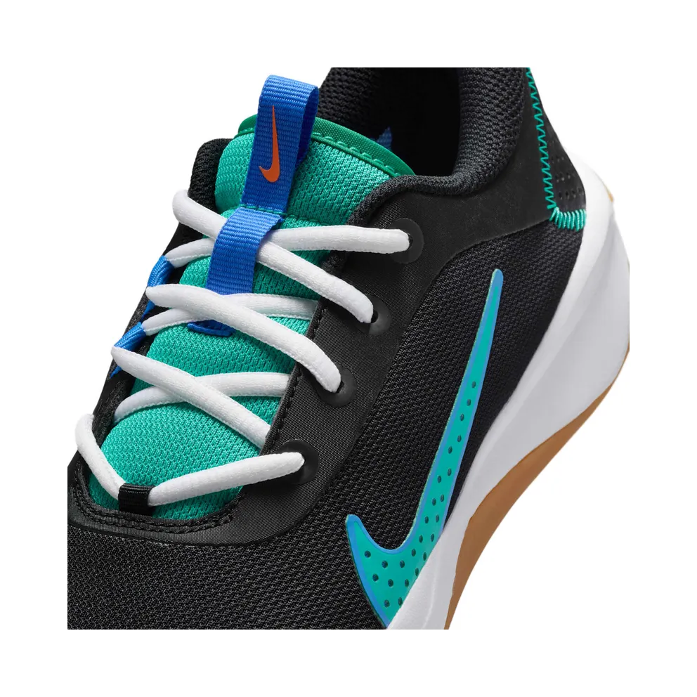 Nike Omni Multi-Court Black Blue Crystal Clear Emerald (DM9027-015)