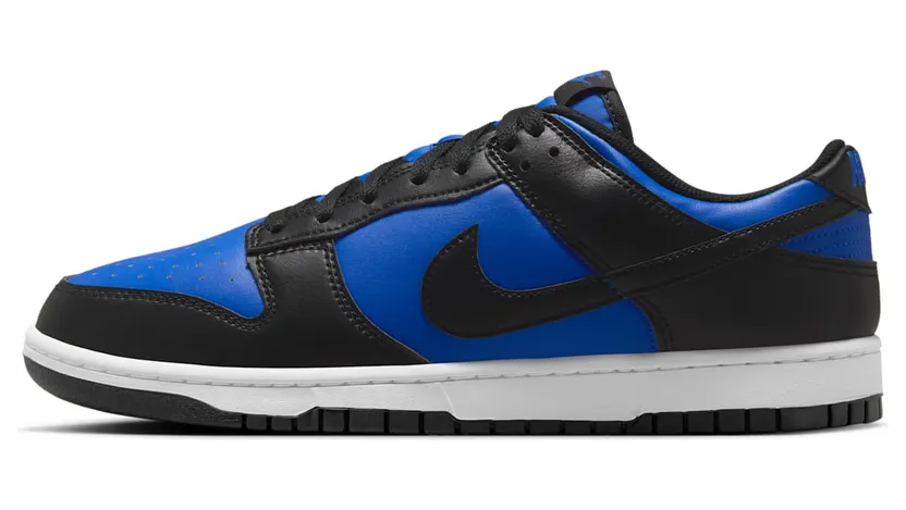 Nike Dunk Low HF5441-401