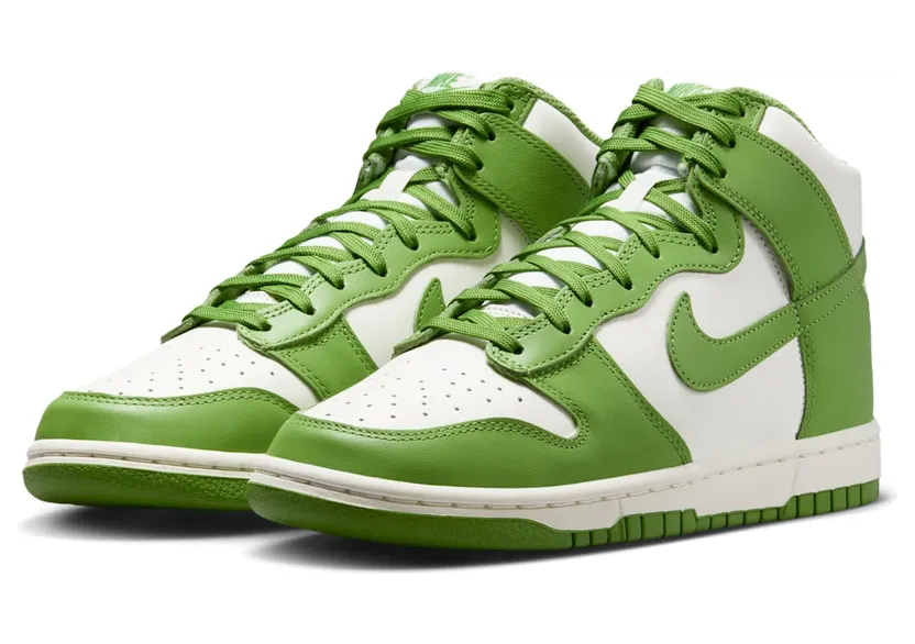 nike-dunk DD1869-300