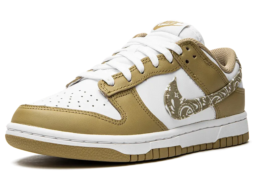 nike-dunk DH4401-104