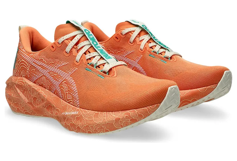 asics-novablast 1013A206-700