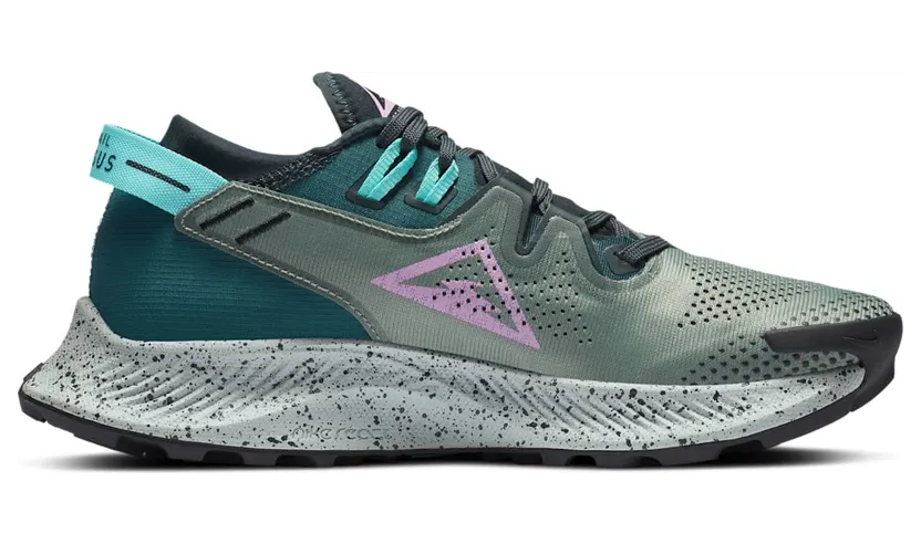 nike-air-pegasus CK4309-300