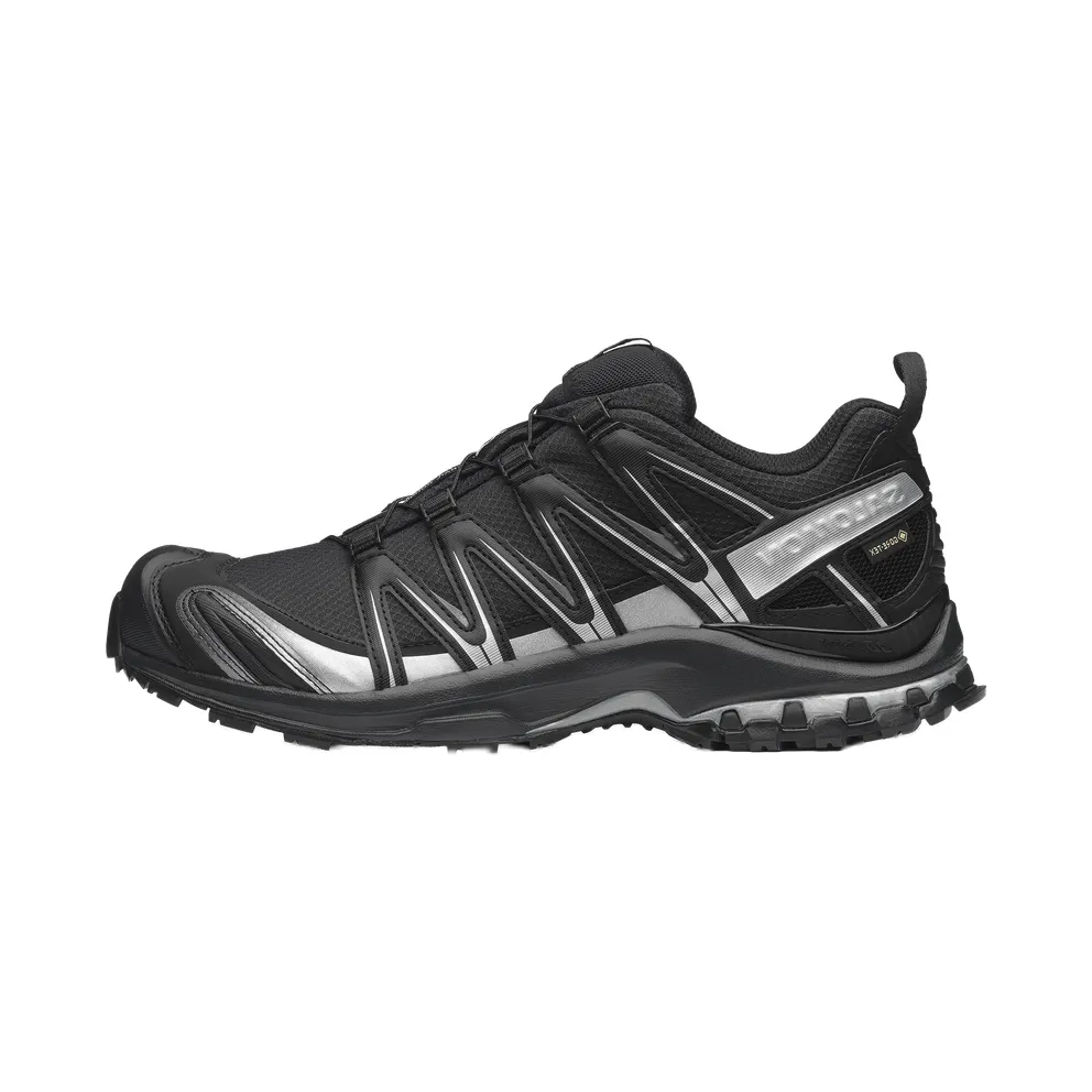 Salomon XA Pro 3D Gore-Tex “Black Silver” (L49214-300)