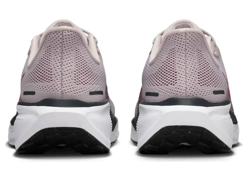 nike-air-pegasus FD2723-014