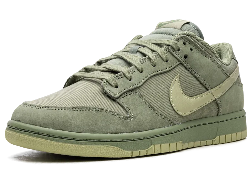 nike-dunk FB8895-300