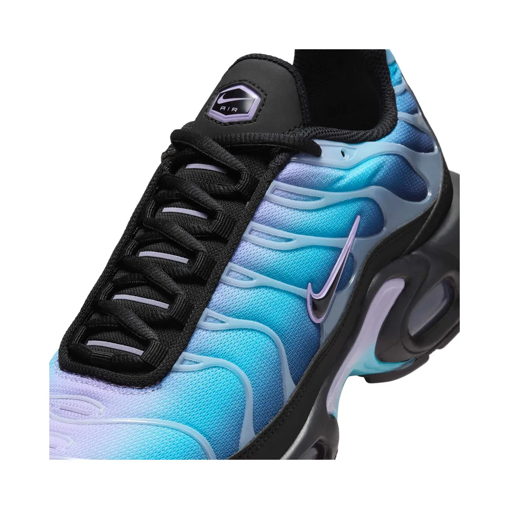 Nike Air Max Plus Black Hydrangeas (HV2510-001)
