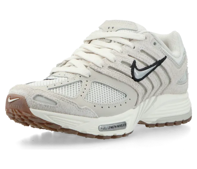 nike-air-pegasus HJ5271-002