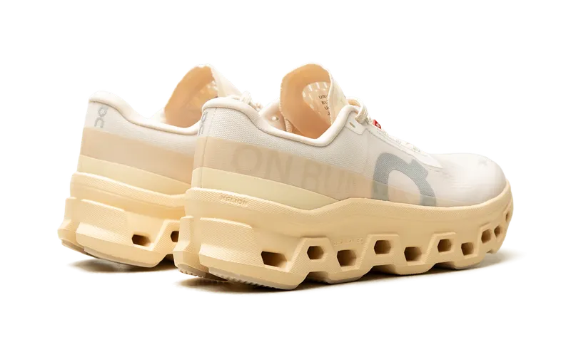 On Running Cloudmonster 1 “Goby Lily” (3WF30484910)