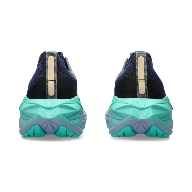 asics-novablast 1012B510.401