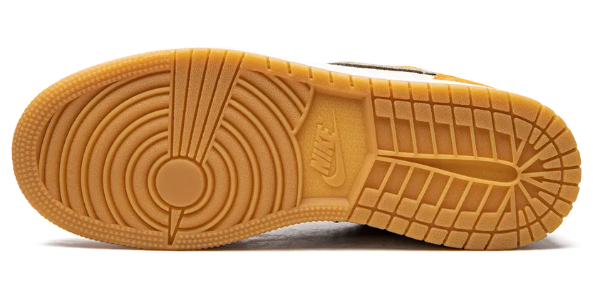 air-jordan-1 DJ0342-102