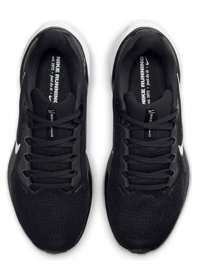 nike-air-pegasus FD2723-002