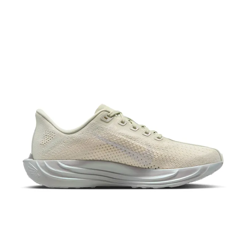 Nike Pegasus Sea Glass/Chalk/Pure Platinum/White (IO9912-001)