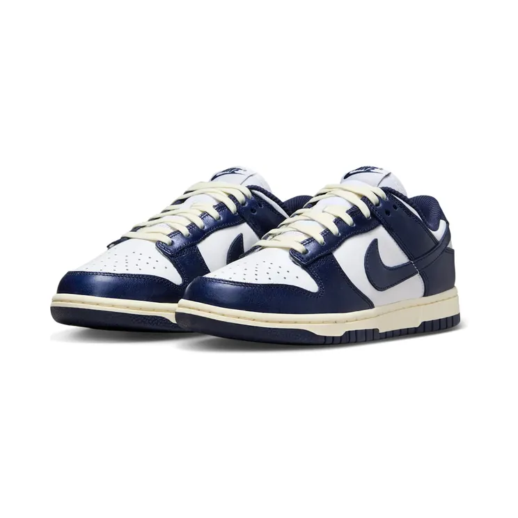 nike-dunk FN7197-100