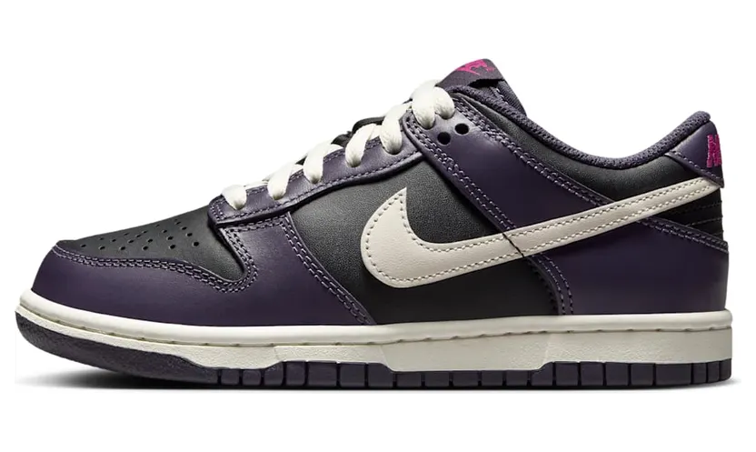 Nike Dunk Low FB9109-003
