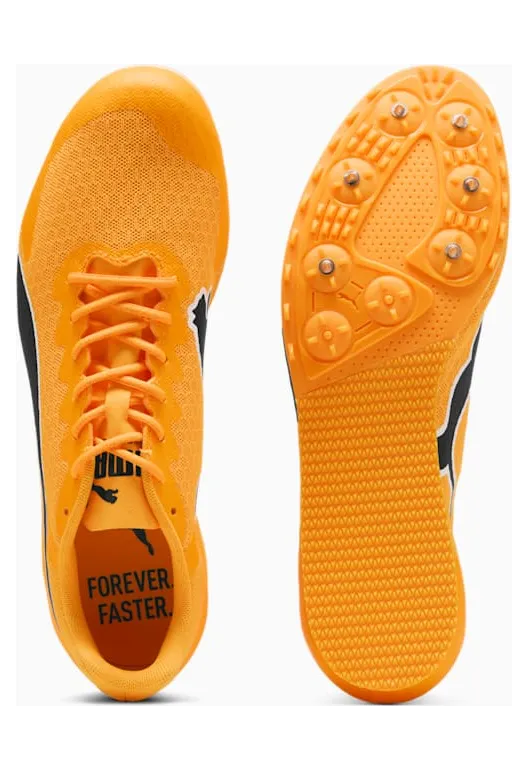 puma-evospeed 311379-03