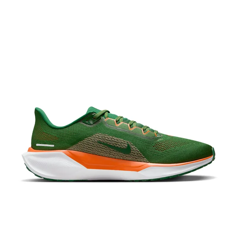 Nike Air Zoom Pegasus 41 FAMU (FZ5112-300)
