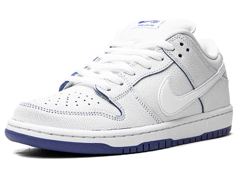 nike-dunk-sb CJ6884-100