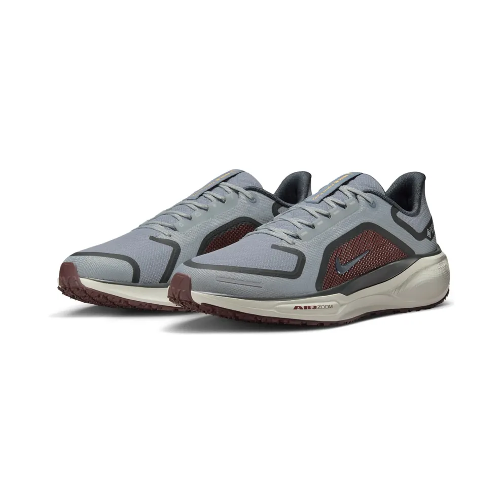 Nike Air Zoom Pegasus 41 Gore-Tex Light Pumice Burgandy Crush (FQ1356-003)