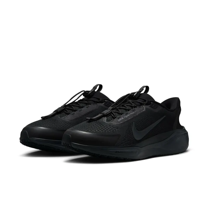 Nike Air Zoom Pegasus 41 EasyOn Black Anthracite (FQ7837-001)